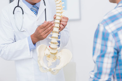 Spine Surgeon Education
